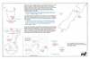 ros43 hobart to aucklands_thumb.gif